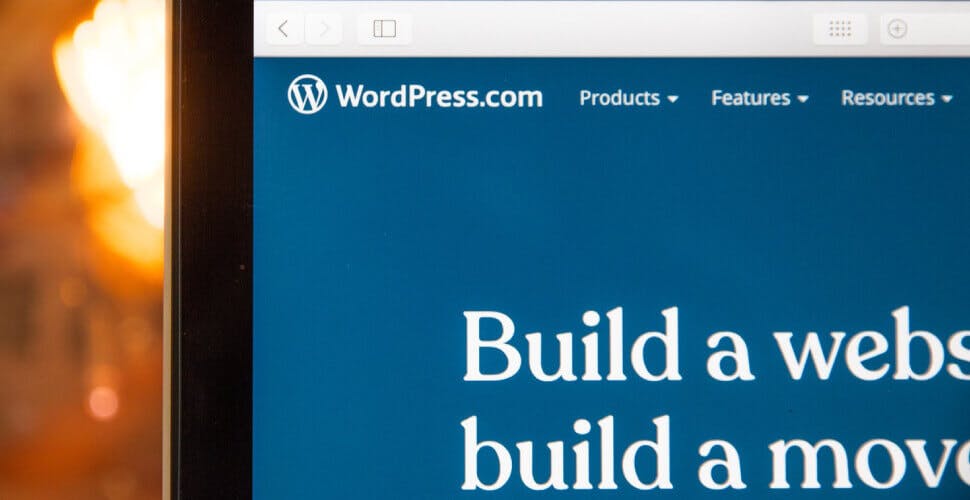 Why developers are so divided over WordPress